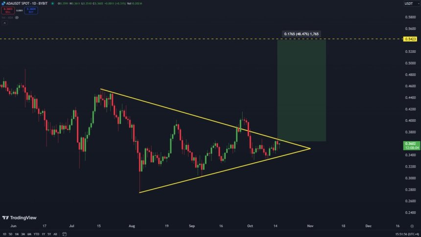 Cardano probando el nivel superior del triángulo simétrico