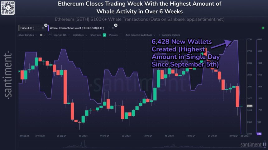 La actividad de las ballenas de Ethereum se disparó a un máximo de 6 semanas 