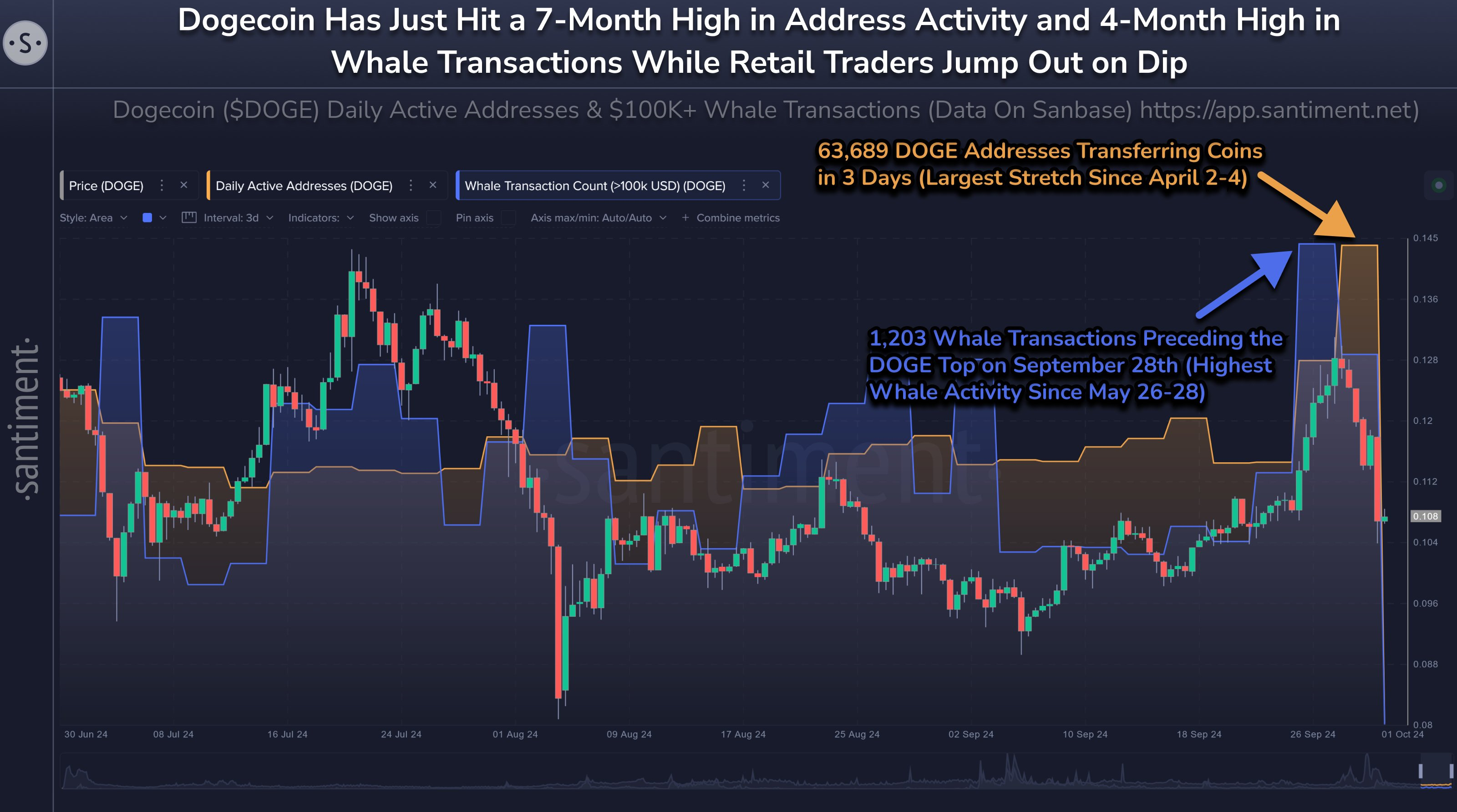 Dogecoin whale activity