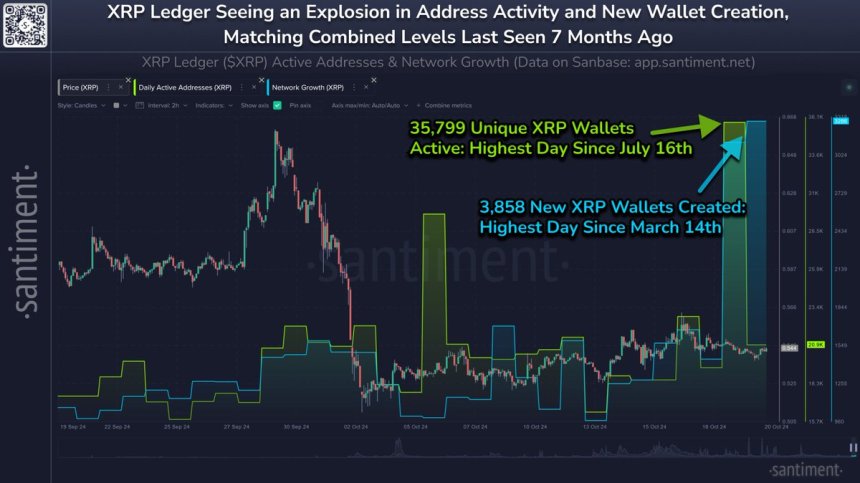 XRP Ledger spiked in active wallets 